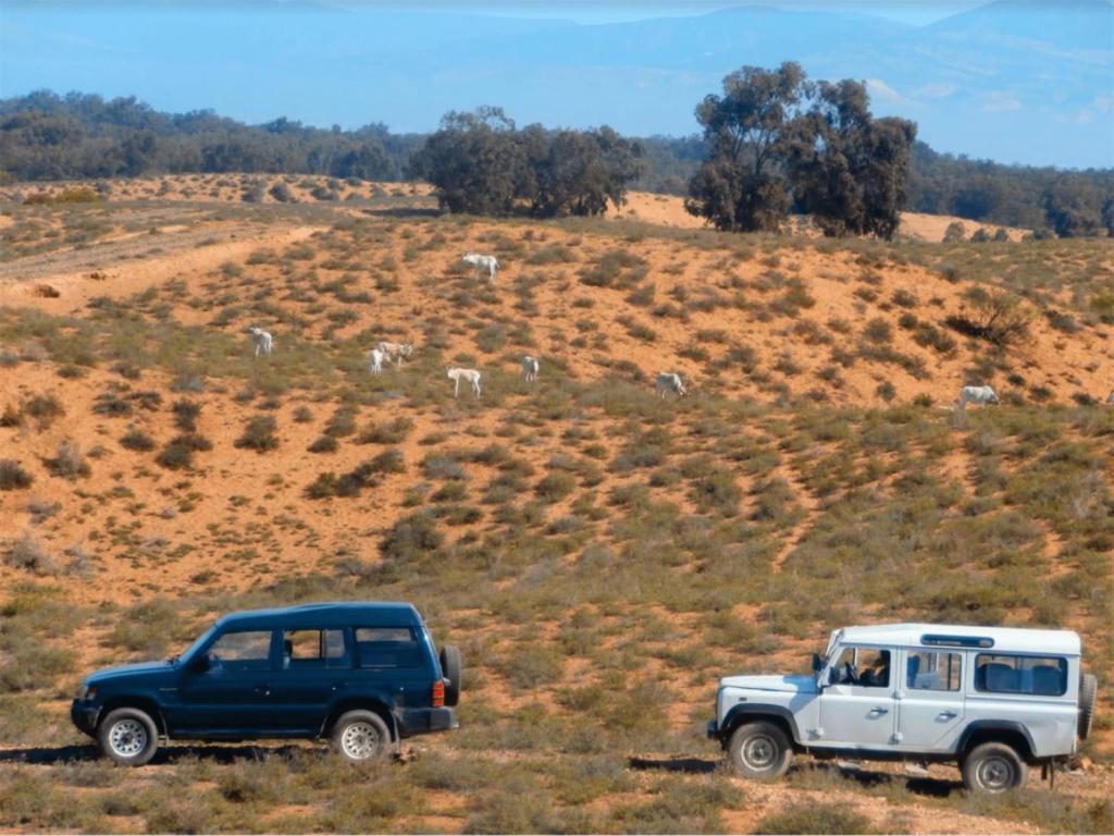 Camping Wassay Beach Sidi Ouassay Екстер'єр фото